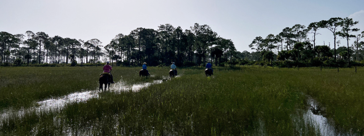 three cowboys riding horses on a florida ranch